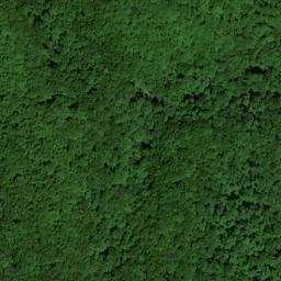 Satellite imagery of McCoy Ridge, US