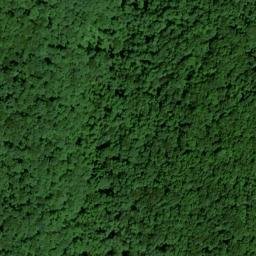 Satellite imagery of McCoy Ridge, US