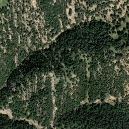 Satellite imagery of survey_point, DZ