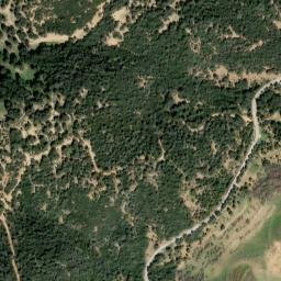 Satellite imagery of survey_point, DZ