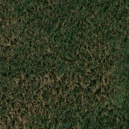 Satellite imagery of 8601 CANYON — NGS DO5663 — Coconino County, US, US