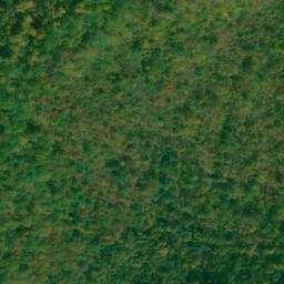 Satellite imagery of Allen Mine, US