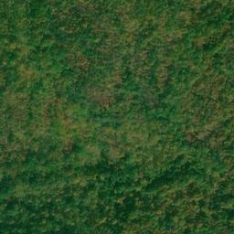Satellite imagery of Allen Mine, US