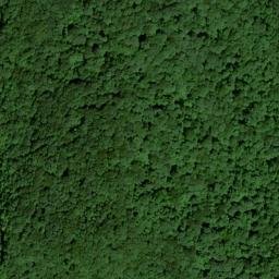 Satellite imagery of McCoy Ridge, US