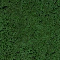 Satellite imagery of McCoy Ridge, US
