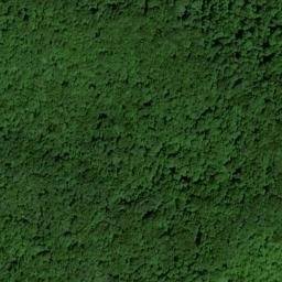 Satellite imagery of Horsebone Ridge, US