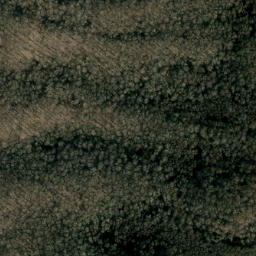 Satellite imagery of Rich Mountain, US