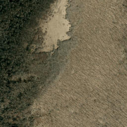 Satellite imagery of Rich Mountain, US