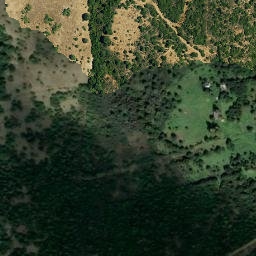 Satellite imagery of survey_point, DZ