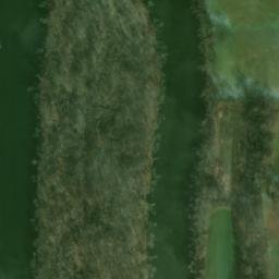 Satellite imagery of Scraunchers Rock Bluff, US