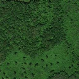 Satellite imagery of Bear Ridge, US