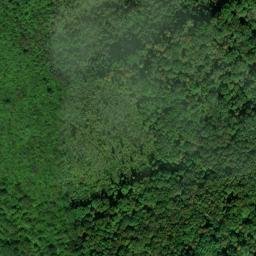 Satellite imagery of Bear Ridge, US
