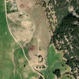 Satellite imagery of survey_point, DZ