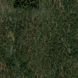 Satellite imagery of 7903 CANYON — NGS DO5655 — Coconino County, US, US