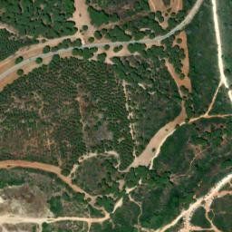 Satellite imagery of survey_point, DZ