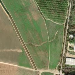 Satellite imagery of survey_point, DZ