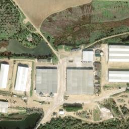 Satellite imagery of survey_point, DZ