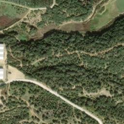 Satellite imagery of survey_point, DZ