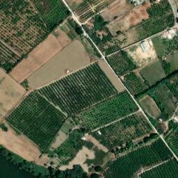 Satellite imagery of survey_point, DZ