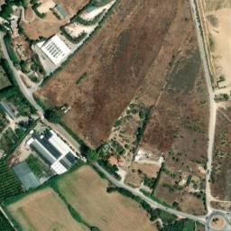 Satellite imagery of survey_point, DZ