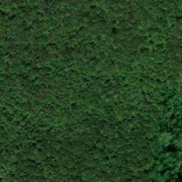 Satellite imagery of Bear Ridge, US