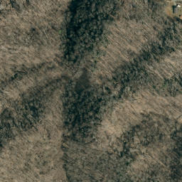 Satellite imagery of Bee Tree Ridge, US