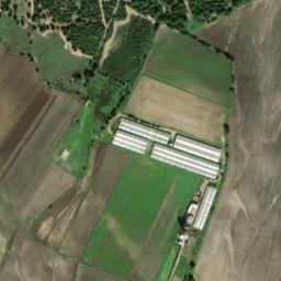 Satellite imagery of survey_point, DZ