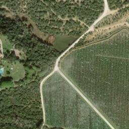 Satellite imagery of survey_point, DZ