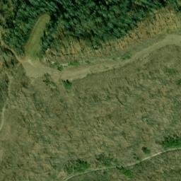 Satellite imagery of Pleasant Garden Ridge, US