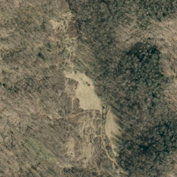 Satellite imagery of Bee Tree Ridge, US