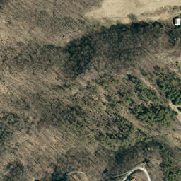 Satellite imagery of Bee Tree Ridge, US