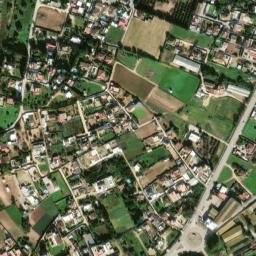 Satellite imagery of survey_point, DZ