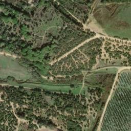 Satellite imagery of survey_point, DZ