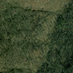 Satellite imagery of Bee Tree Ridge, US