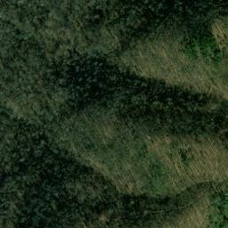 Satellite imagery of Bee Tree Ridge, US