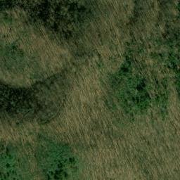 Satellite imagery of Bee Tree Ridge, US