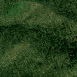 Satellite imagery of Pleasant Garden Ridge, US