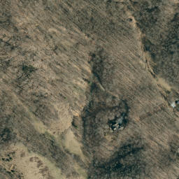 Satellite imagery of Bee Tree Ridge, US
