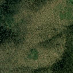 Satellite imagery of Bee Tree Ridge, US