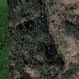 Satellite imagery of Lost Ridge, US