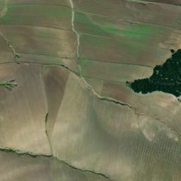 Satellite imagery of survey_point, DZ