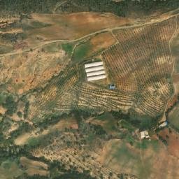 Satellite imagery of Djebel Sidi Ali Lefhal, DZ