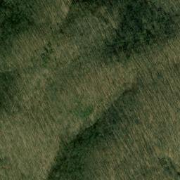 Satellite imagery of Bee Tree Ridge, US