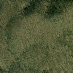 Satellite imagery of Bee Tree Ridge, US