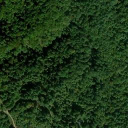 Satellite imagery of Mays Ridge, US