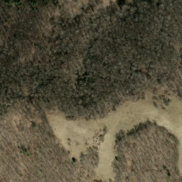Satellite imagery of Loggy Ridge, US