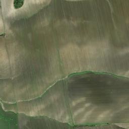 Satellite imagery of survey_point, DZ