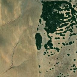 Satellite imagery of survey_point, DZ