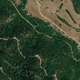 Satellite imagery of survey_point, DZ