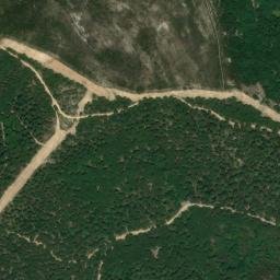 Satellite imagery of survey_point, DZ